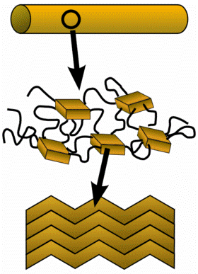 Structure of spider silk. Inside a typical fiber, one finds crystalline regions separated by amorphous linkages. The crystals are beta-sheets that have assembled together.